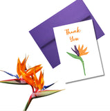 Birds of Paradise Thank You Greeting Card